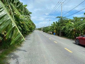 bán miếng đất mẫu thổ cư mặt tiền trương văn đa tân nhựt bình chánh