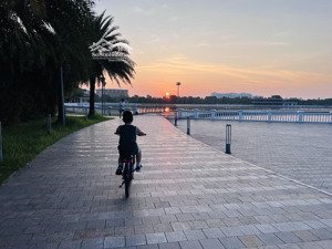 bán biệt thự vin harmony view hồ công viên, dt 295m, giá 280 tỷ có tl với bác chủ thiện chí bán