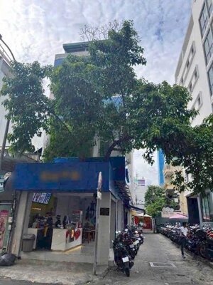 3x tỷ! Bán góc 2 MT Đ. Nguyễn Văn Thủ, Q1 - 4.1x19.5m - 5 Tầng.