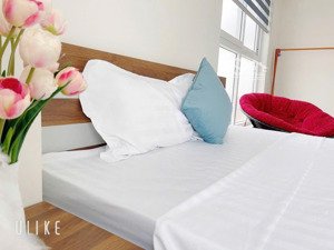 chính chủ cho thuê căn hộ 3 ngủ giá rẻ full nội thất cao cấp