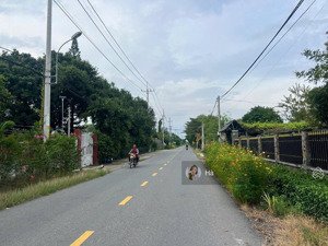 1t3 bán nhanh lô đất 242m2 làm nhà vườn mặt tiền nhựa 492 phạm văn cội, củ chi