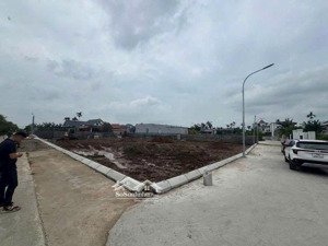 đất thổ cư giá rẻ an lão hải phòng