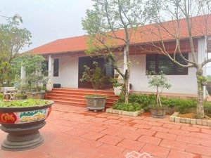 cần bán gấp siêu phẩm nhà vườn yên bài ba vì 1686m2 giá 8,8 tỷ