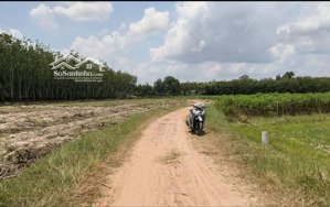 bán đất 1033.8m2 thổ cư 108m² chỉ 495tr, xã long chữ, bến cầu, tây ninh