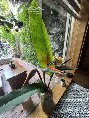 bán nhà 4 tầng 2 mặt đường lực lưỡng - ngay mặt biển nguyễn tất thành, đà nẵng - đoạn đẹp nhất