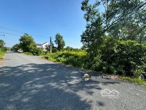 bán gấp đất gần trường đại học trà vinh phường 5, trà vinh, diện tích 230m2 thổ cư, chỉ 3xxtr