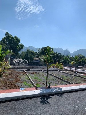 đất lạc thuỷ hoà bình áp đường mòn hồ chí minh giá chỉ từ 500 triệu