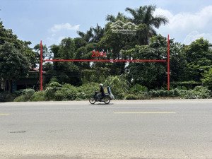 [chính chủ] bán lô đất 1000m2 mặt tiền 20m bám đường ql21 đối diện đh lâm nghiệp, view hồ xuân mai