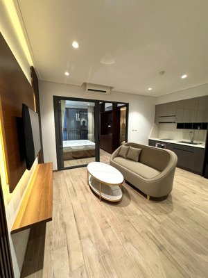 cho thuê siêu phẩm cc mini gần ngay vincom phạm ngọc thạch 2n1k 15,6 triệu, 75m2