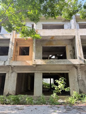 bán nhanh - liền kề vạn tuế ecopark 135m - vị trí vàng chân toà sol forest