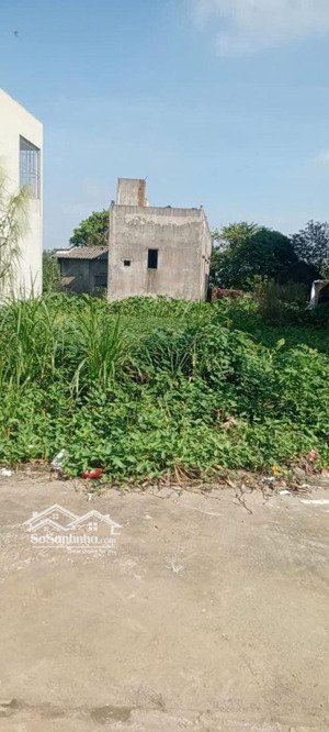 bán 118m2 đất tđc tứ hiệp, phân lô, vỉa hè, ô tô tránh nhau, sổ đỏ chính chủ, rẻ nhất thị trường