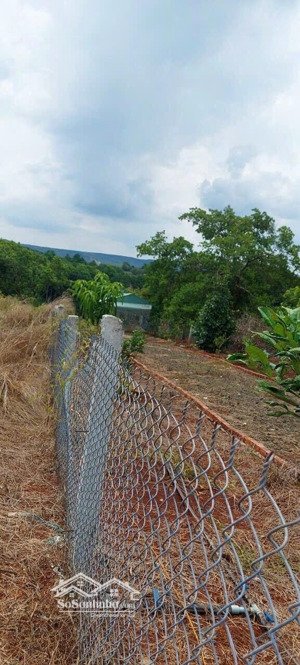 chủ ngộp cần bán gấp 1 sào đất 1000m2 đã rào sẵn lưới b40. giá 395 triệu. sổ sẵn. lh 