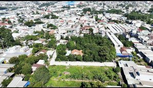 bán 15 lô đất đầu tư tốt tại tân đông hiệp