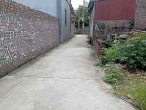 chính cần tiền gửi bán gấp mảnh đất đẹp mai lâm. đông anh. hà nội