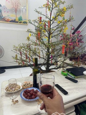 bán nhà hẻm xe hơi phạm thế hiển phường bình đông. gần trường học bình an - giá: 5,5 tỷ vnd