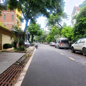 hạ sâu 4 tỷ! bán biệt thự mỹ đình 1, hàng hiếm giá đầu tư, quận nam từ liêm