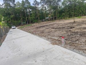 chủ đang cần tiền rất rất thiện chí bán 126m2 đất thổ cư chỉ hơn 300 triệu chút xíu