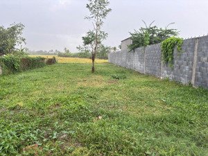 5x39 có 100 thổ- 520tr- -đồng thạnh- gò công tây- tiền giang