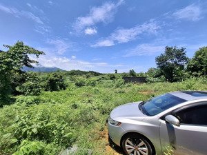 sở hữu hơn 1,1ha đất siêu đẹp ba vì - hà nội giá chỉ 8 tỷ