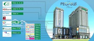 penthouse pegasus biên hòa 3 tầng sang trọng, view sông, sổ hồng, vào ở ngay. giá chỉ 38tr/m2