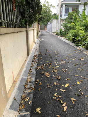 bán đất 43,6m2 tại đường 19, xuân nộn, đông anh. ô tô 7 chỗ vào tận đất
