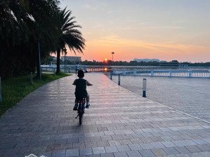 bán biệt thự vin harmony view hồ công viên, dt 295m, giá 280 tỷ có tl chính