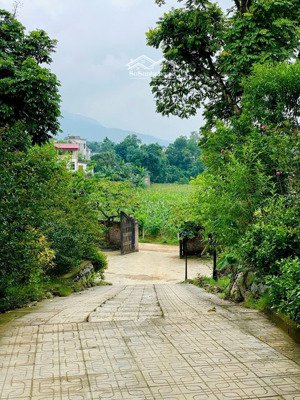 cần bán lô đất 5000m2 sẵn khuôn viên nghỉ dưỡng vận hành ngay tại phú cát, hà nội