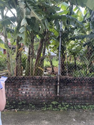 bán đất tại minh phú, sóc sơn, hà nội, 2,85 tỷ, 144m2 bao đẹp giá 2,85 tỷ, 144m2 bao đẹp giá ưu đãi