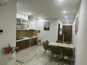 cho thuê căn hộ biconsi tower chợ đình, thủ dầu một, bình dương