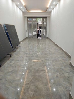 bán nhà riêng tại đầm trấu, phạm đình hổ, hai bà trưng, hà nội, giá tốt, 50m2
