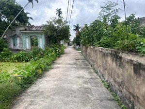 siêu phẩm hơn 3000m2 đất nhà đất làm nhà vườn tại quyết tiến - hợp đức - đồ sơn ngõ ô tô vào