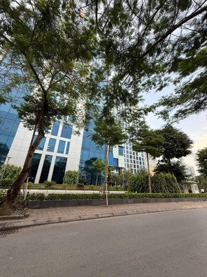 bán nhà mặt phố trần thái tông có sổ đỏ cầu giấy - vỉa hè- hầm để xe- 153m- 8 tầng mặt tiền gần 9m