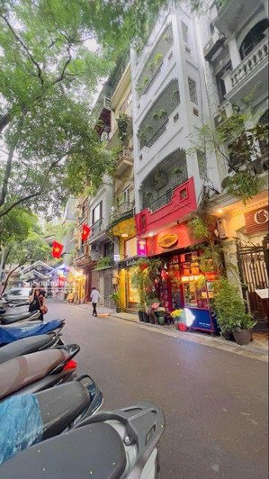 bán đất phố ngọc lâm, long biên 110m kinh doanh - ô tô tránh - mặt tiền quyền lực nhỉnh 31 tỷ.