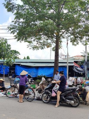 bán đất tại xã duyên thái, thường tín, hà nội, 2,65 tỷ, 43,5 m2