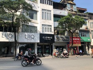 mặt phố núi trúc kinh doanh cực đỉnh dt 52m2x5t vỉa hè giá 29.8 tỷ