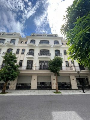 chủ nhà bán gấp sao biển 58,5m gần vườn hoa vinhomes ocean park 2 - 8,3 tỷ