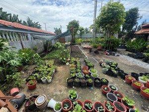 bán gấp lô đất tại xã tân phú trung, huyện củ chi: 1600m2, hướng: đông băc, đất vuông vức: 16 tỷ