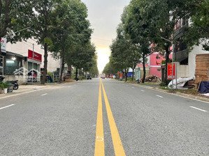 chính chủ gửi bán đất đường số 51 tdc phú chánh, phường bình dương, gần chợ, khu công nghiệp