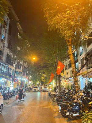 bán nhà hồng mai, hai bà trưng, phân lô, ôtô, 2 thoáng, ở sướng 36m2x5t - mt 3.5m. nhỉnh 10tỷ.