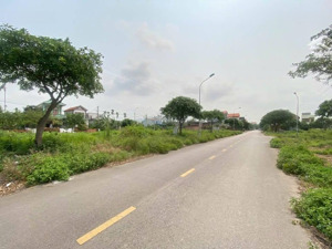 bt kim sơn kđt kim sơn p. kim sơn tp. đông triều qn