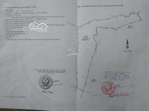 chính chủ cần bán 15ha đất ở đạ sar, lạc dương, giáp thọ xuân đà lạt, sát khu qh của đại quang minh