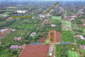 đất sào full hồng 1158m2 tặng 60m2 thổ cư tại xã dray bhang (eabhok cũ) giá rẻ chỉ 599tr