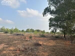 CẦN BÁN 7.300m² ĐẤT LÔ 2 ĐƯỜNG 715 – GẦN SÂN BAY PHAN THIẾT