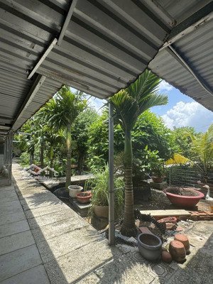 bán đất sổ hồng 3 mặt tiền tại vĩnh lộc a