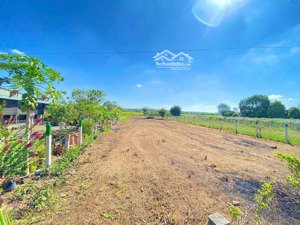 chỉ với 680 nghìn trên 1m2 sở hữu ngay lô đất hơn 1000m2 tại minh thạnh hồ chí minh