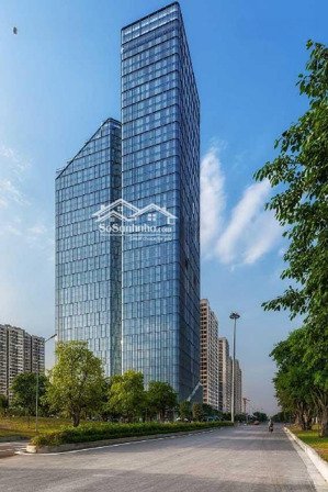 cho thuê văn phòng, mặt bằng tmdv, showroom tại thủ dầu một và thành phố mới bình dương