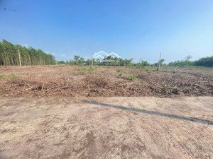 bán lô đất giá rẻ, ngay khu vực cửa ngỏ sân bay quốc tế long thành