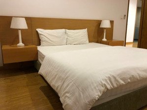 2pn full đồ giá 15 triệu dolphin plaza, trần bình, mỹ đình 2 lh : 