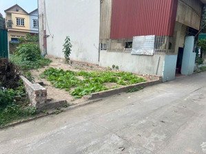 đường thông ô tô đỗ cửa trải nhựa vân nội đông anh khổ đẹp full thổ cư