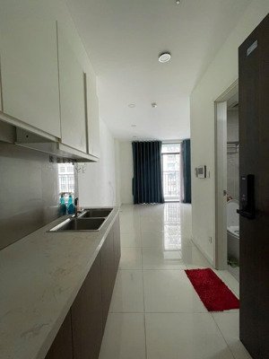 cho thuê cc central premium, 7,5 triệu, 31m2, 1pn, 1wc, tạ quang bửu, q8, hcm